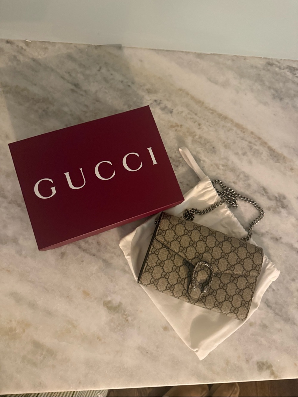 Gucci Beige GG Dionysus Wallet on Silver Chain